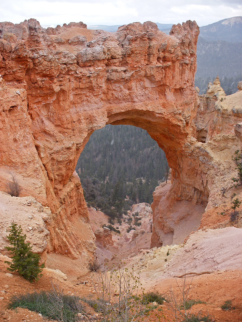 Natural Bridge