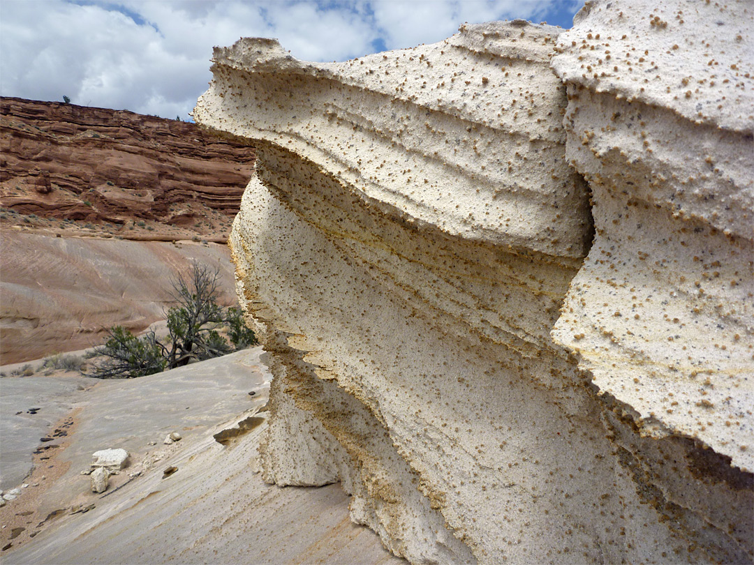 Coarse-textured sandstone