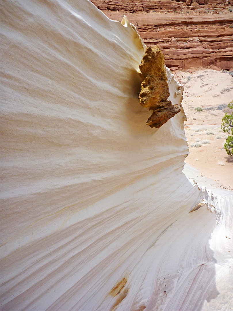 Brown sandstone on white