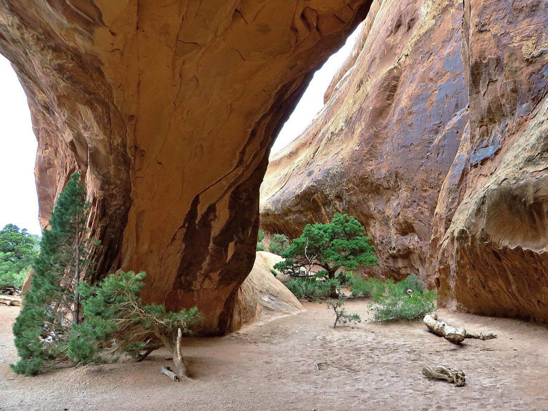Underneath Navajo Arch