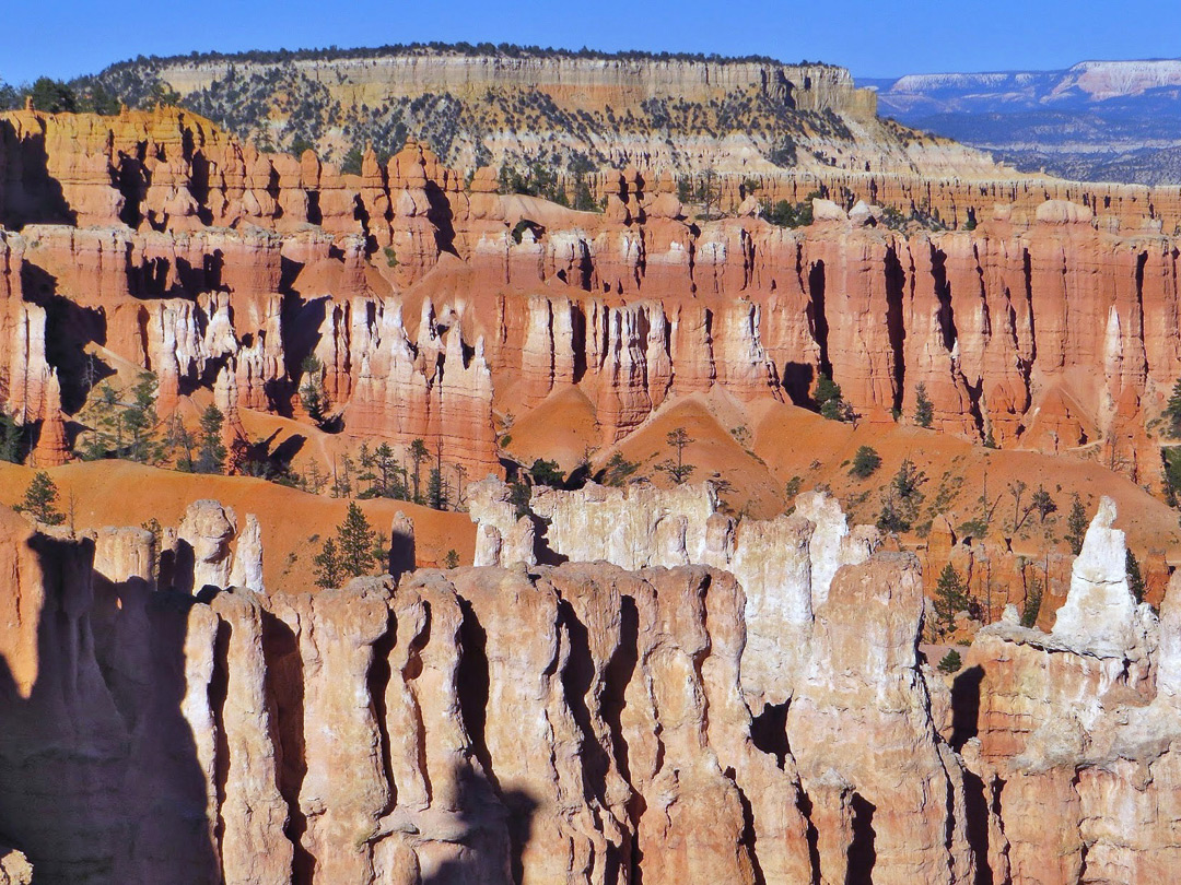 Lines of hoodoos