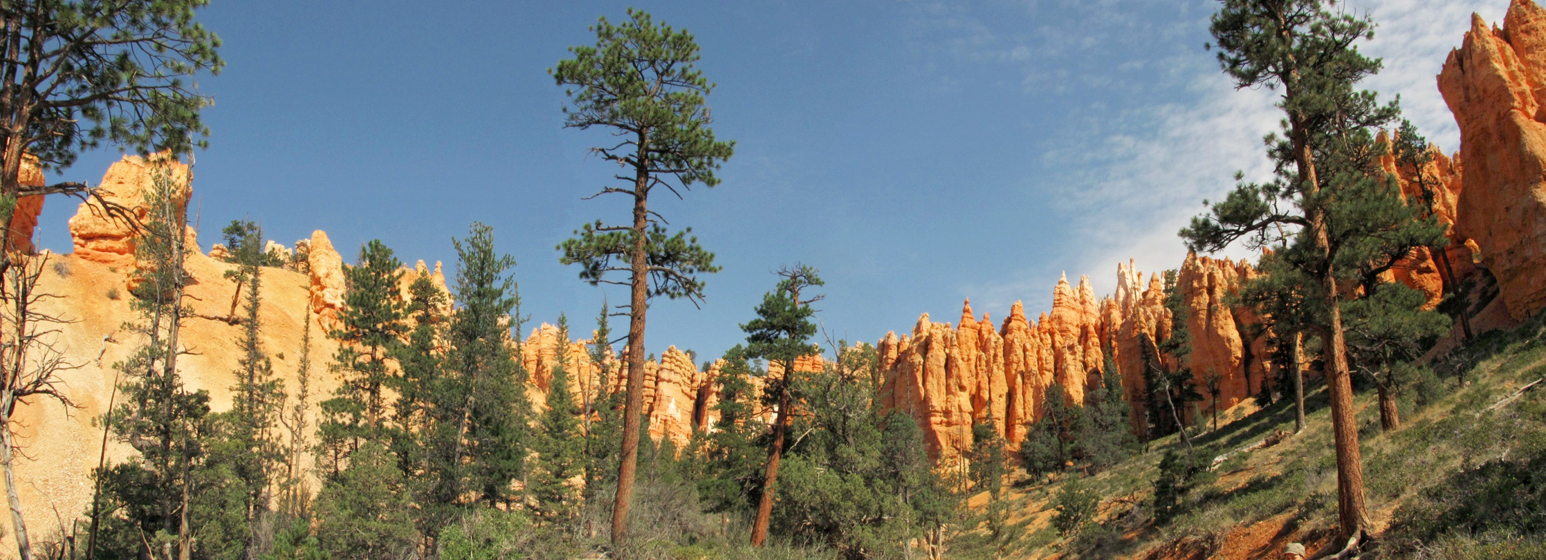 Pinnacles along the lowest section of the loop