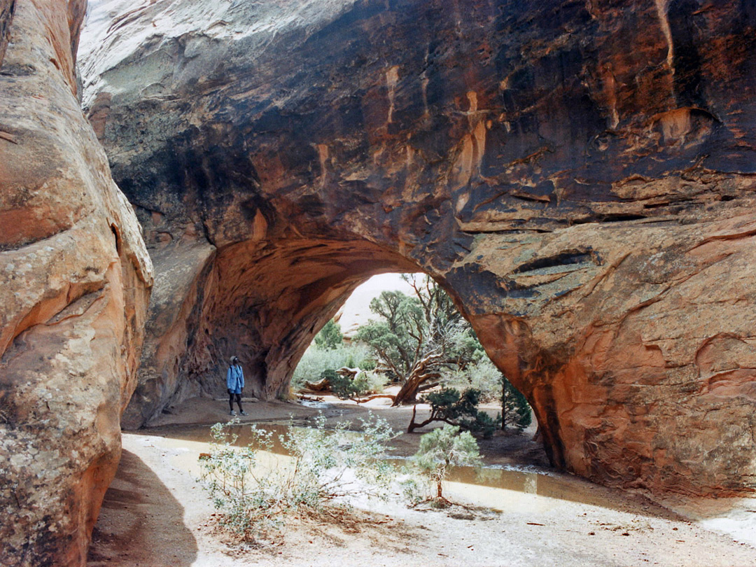 Navajo Arch