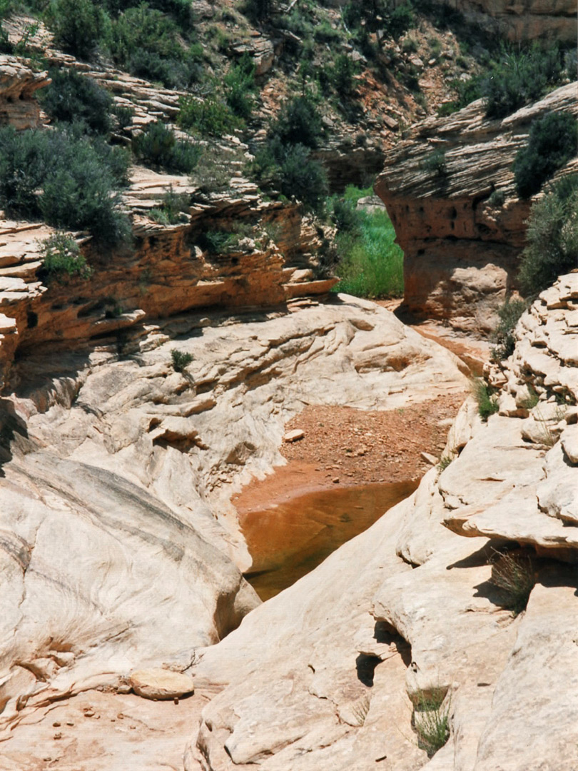 Pool in Armstrong Canyon