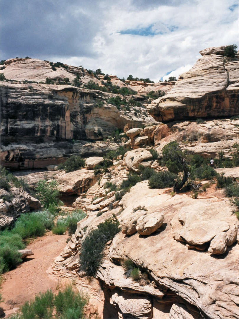 Armstrong Canyon