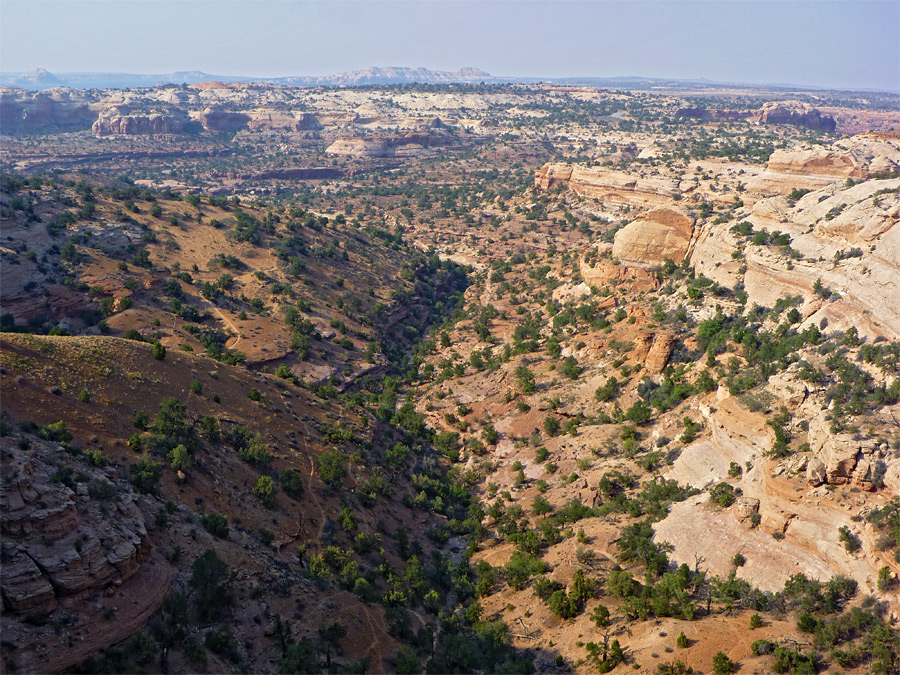 The canyon below Neck Spring