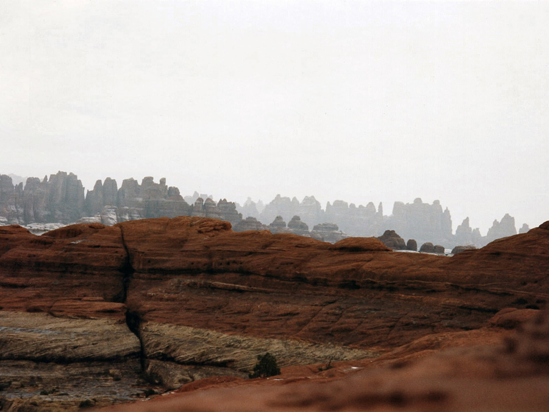 The Needles in the rain