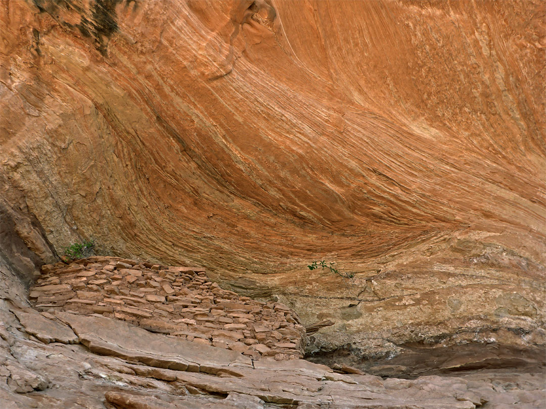 Thin-layered sandstone