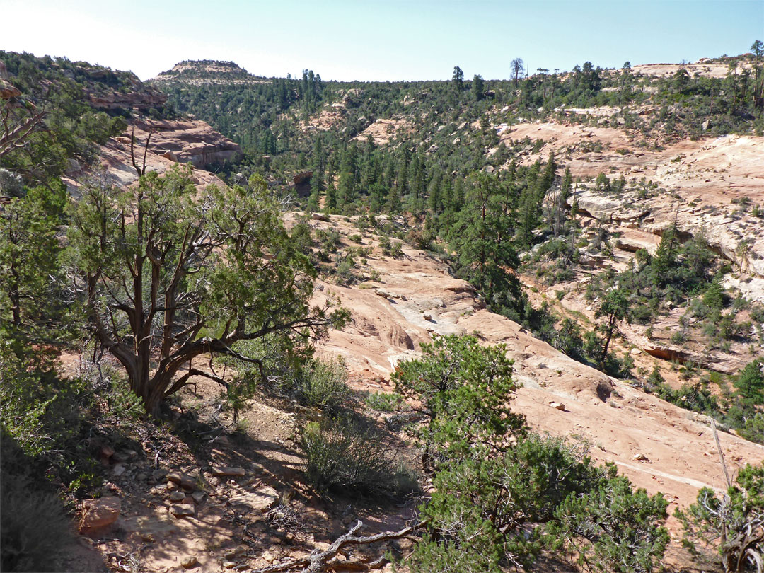 View downcanyon