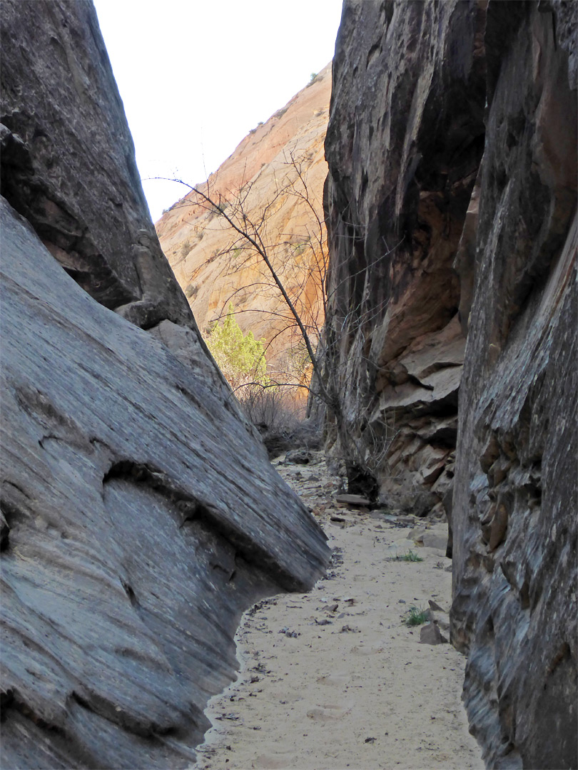 Lower end of the narrows