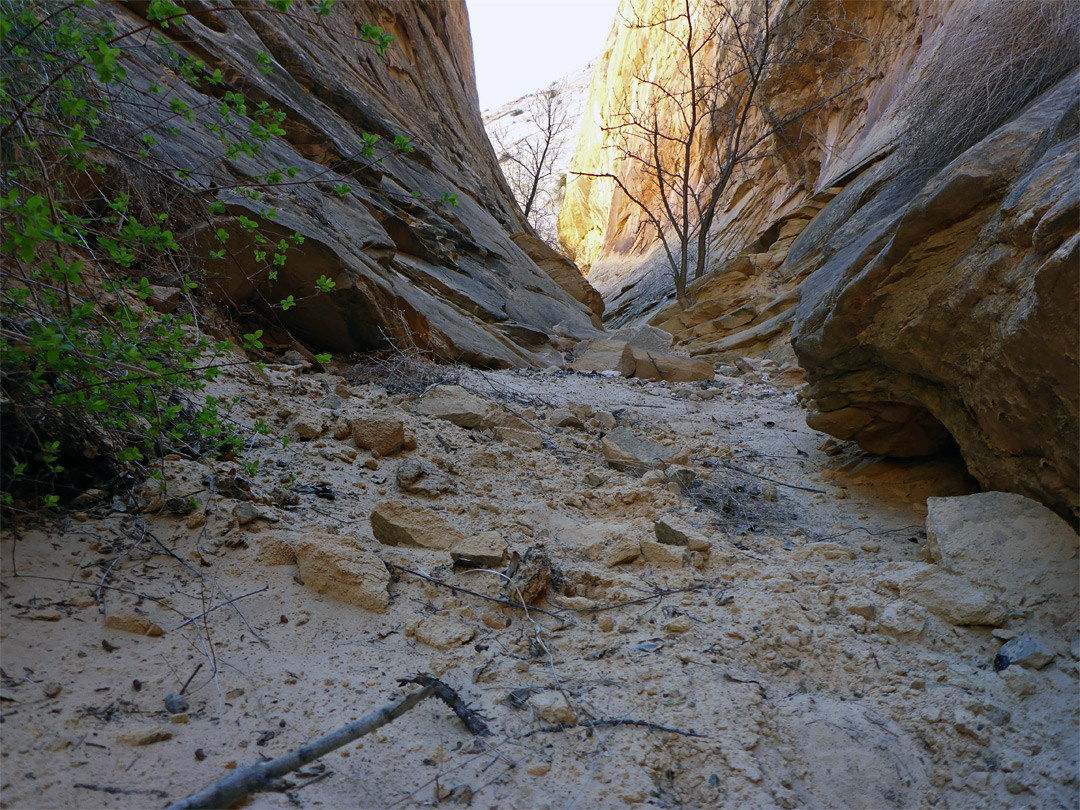 Fallen rocks