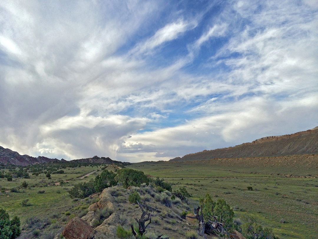 Valley of Grand Gulch