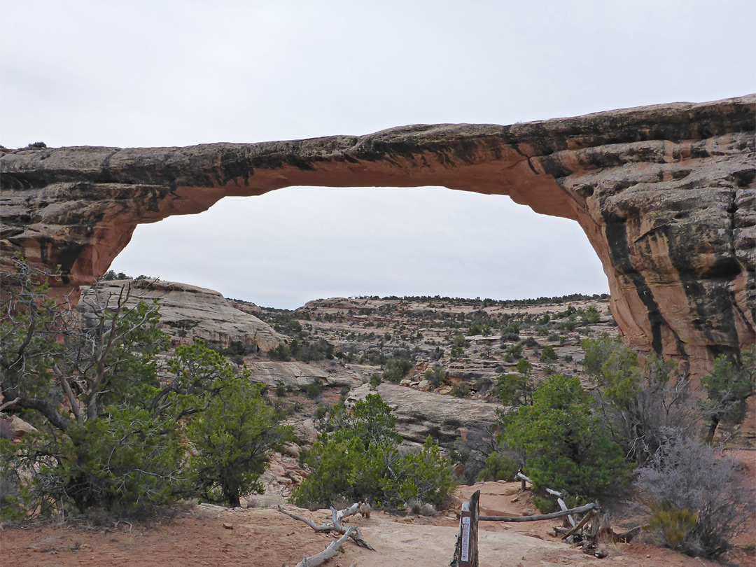 North side of Owachomo Bridge