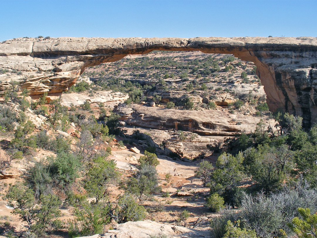 Owachomo Bridge