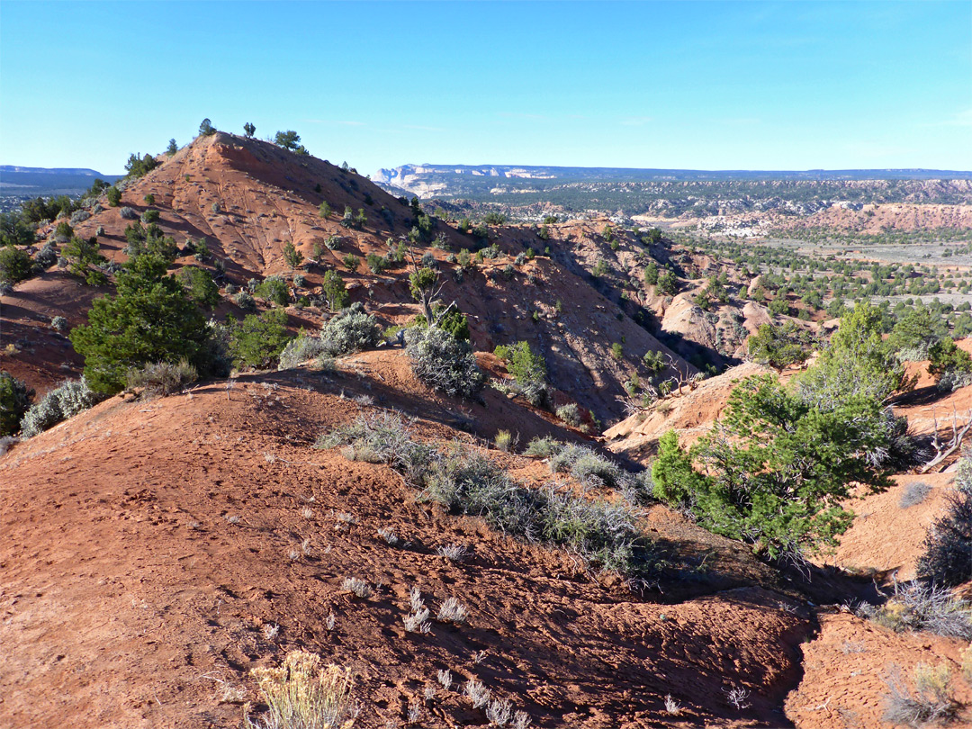 Hill near Panorama Point