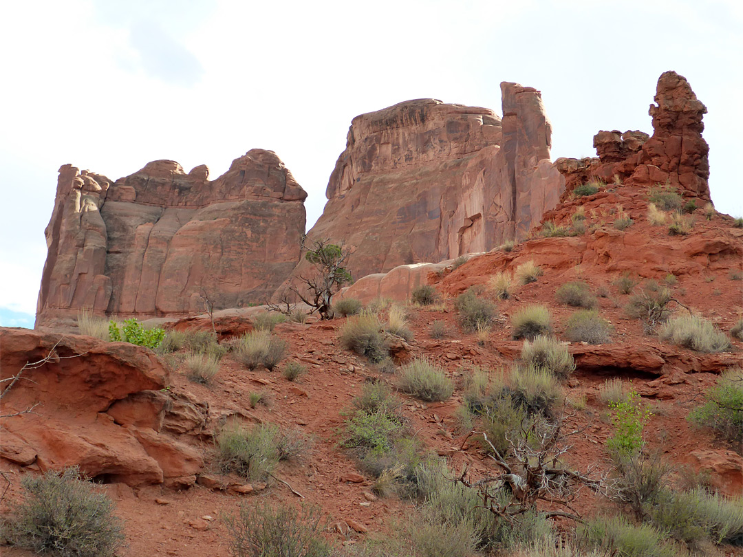 Rocks and sand