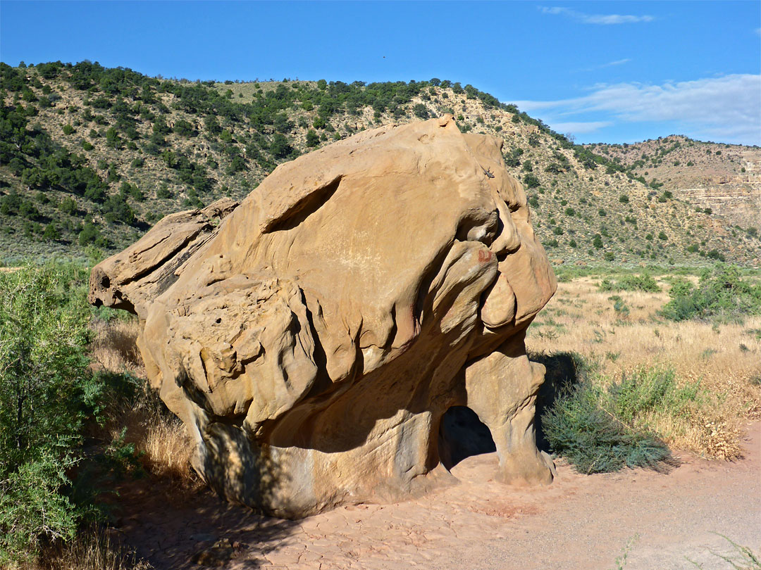 Eroded boulder