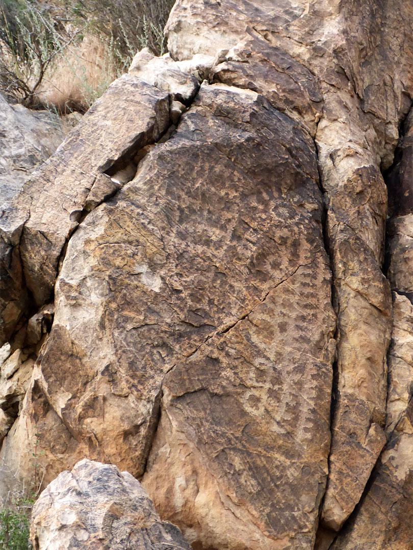 Faint petroglyphs