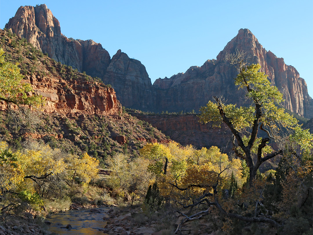 Cliffs and cottonwoods