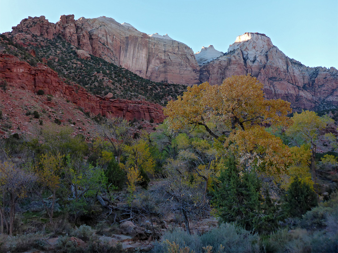 Red and white rocks