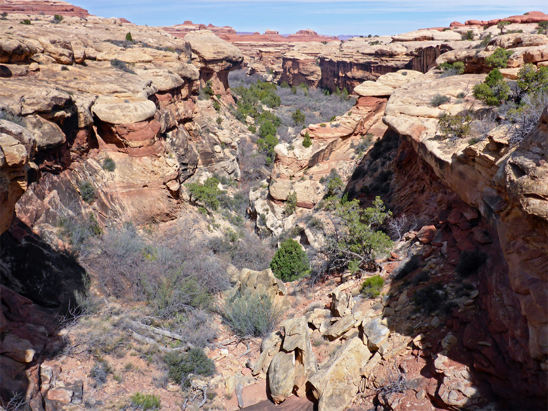 Rocky ravine