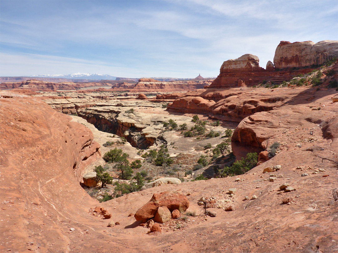 Bench above a canyon