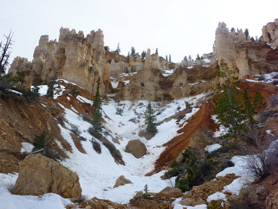 Snowy gully