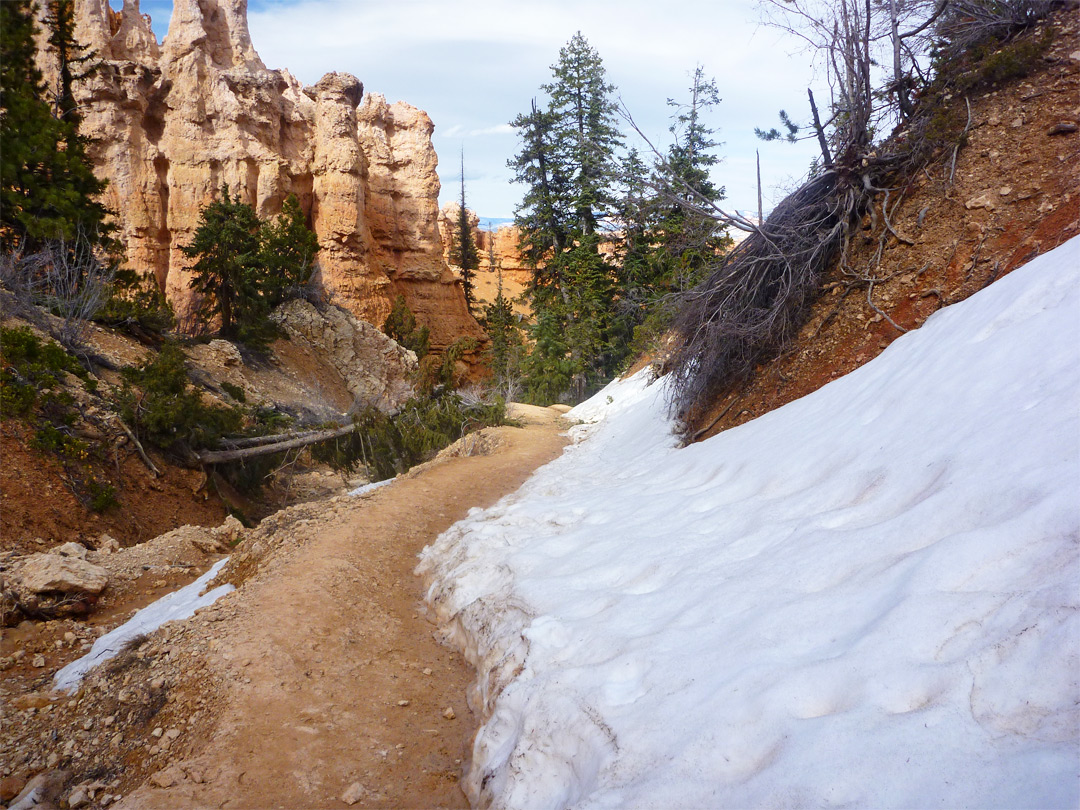 Snow along the trail