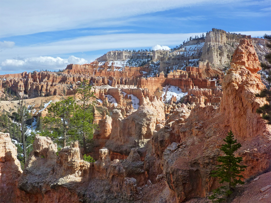 Red and orange hoodoos