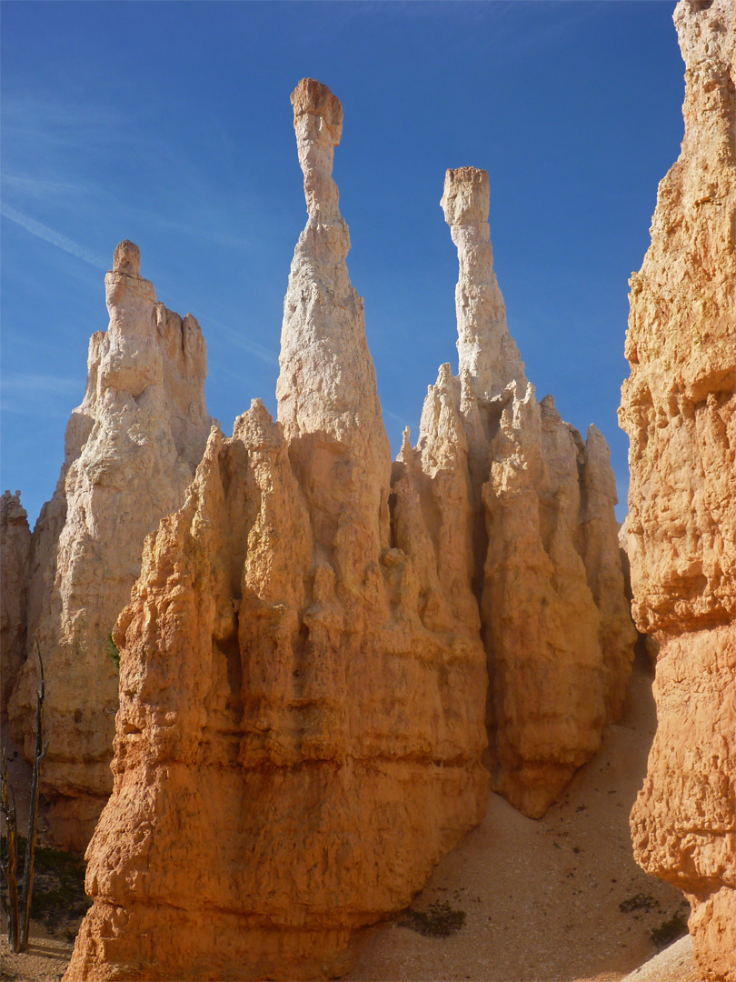 Narrow pinnacles