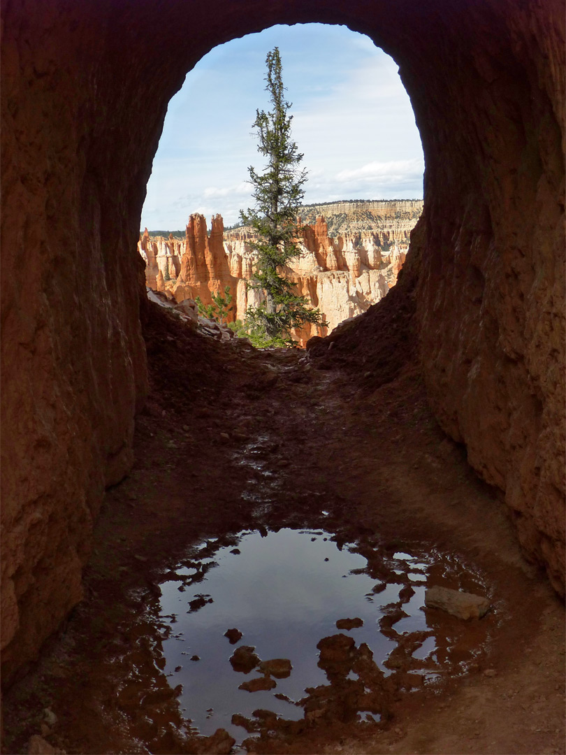 Tunnel view