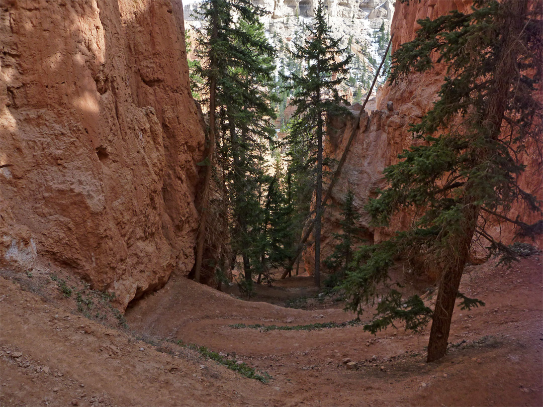 Steep section of the trail