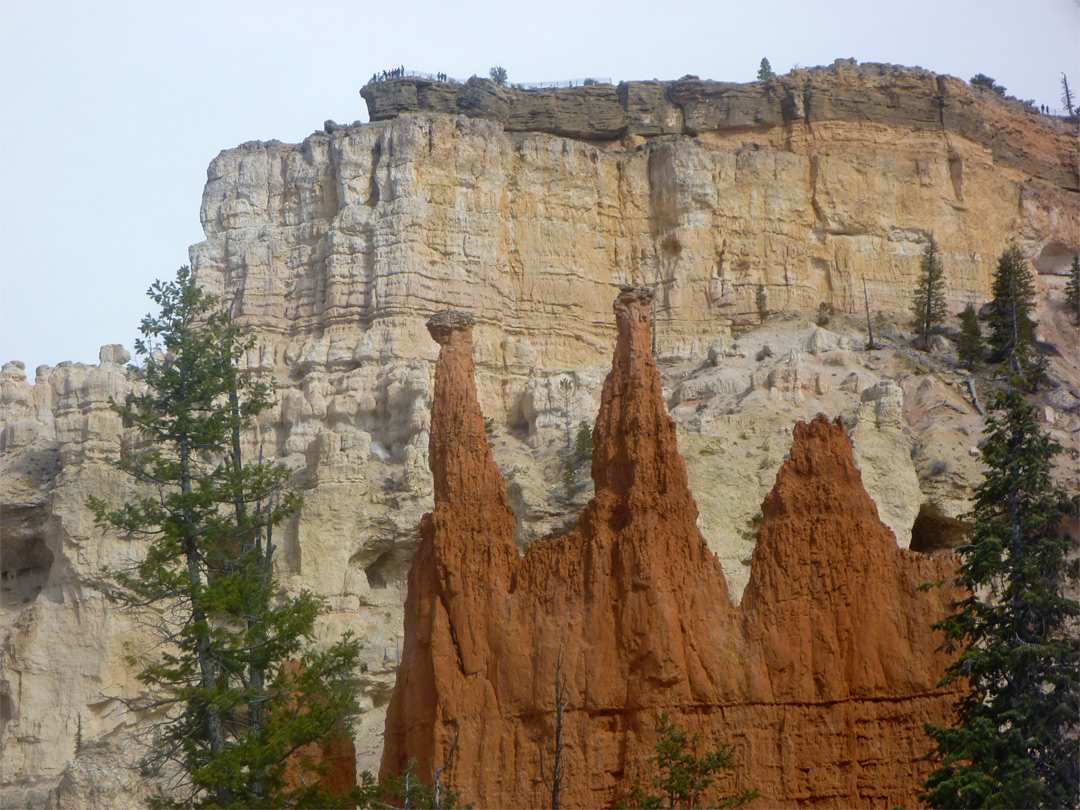 Red hoodoos