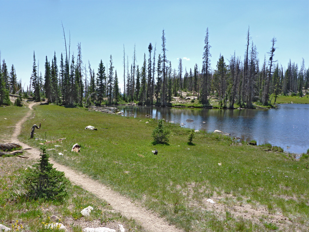 Path near Petit Lake