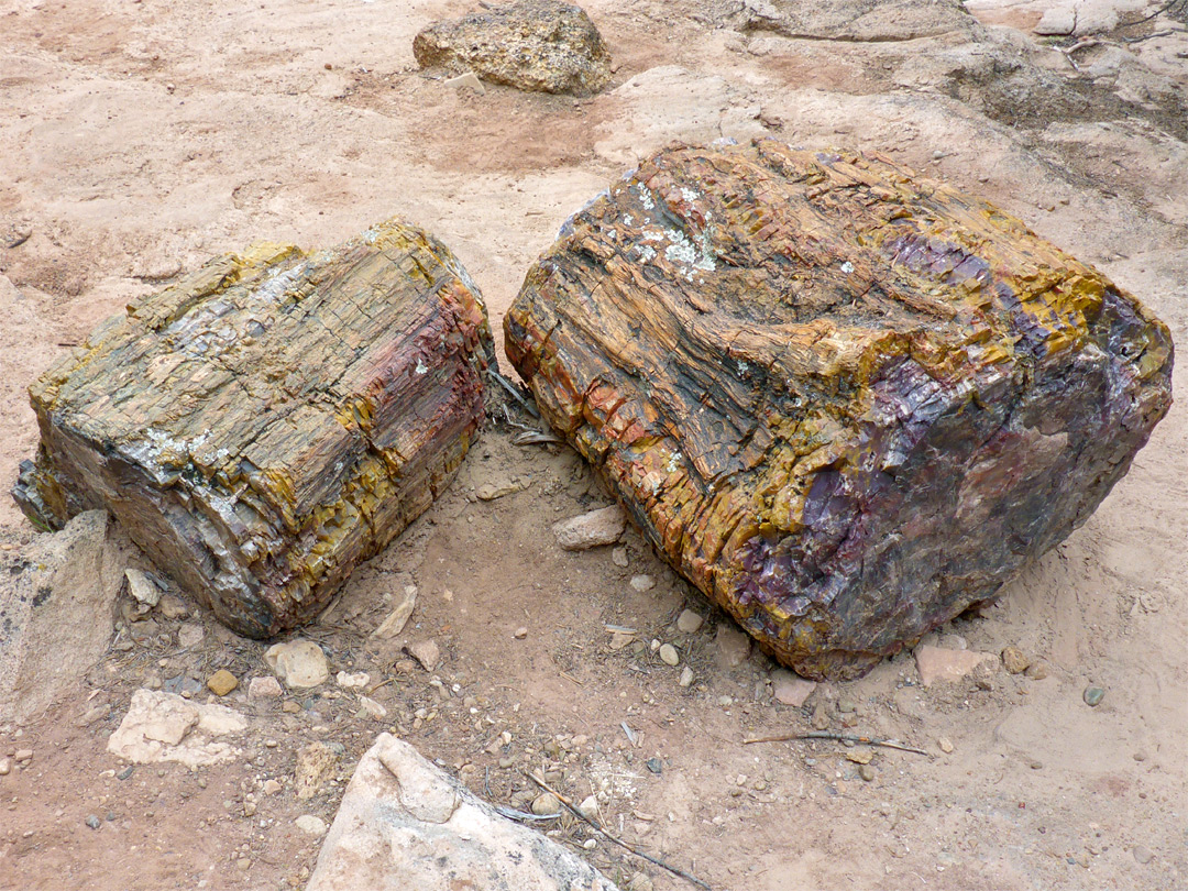 Two petrified logs