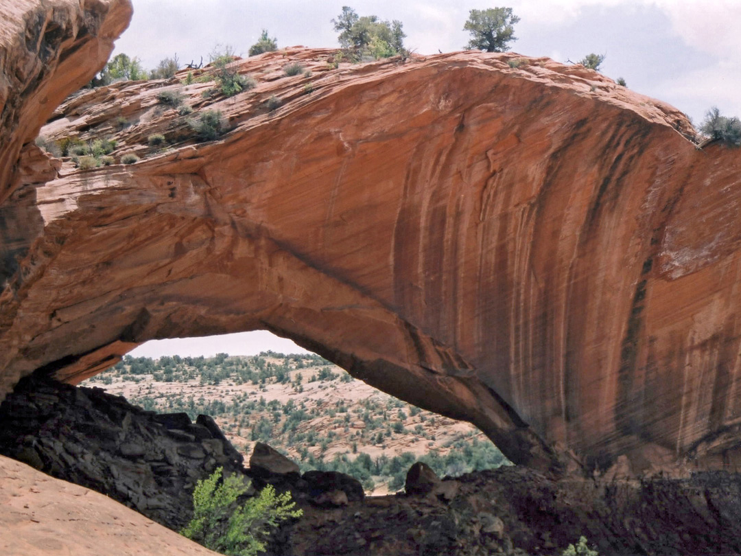 Phipps Arch - west