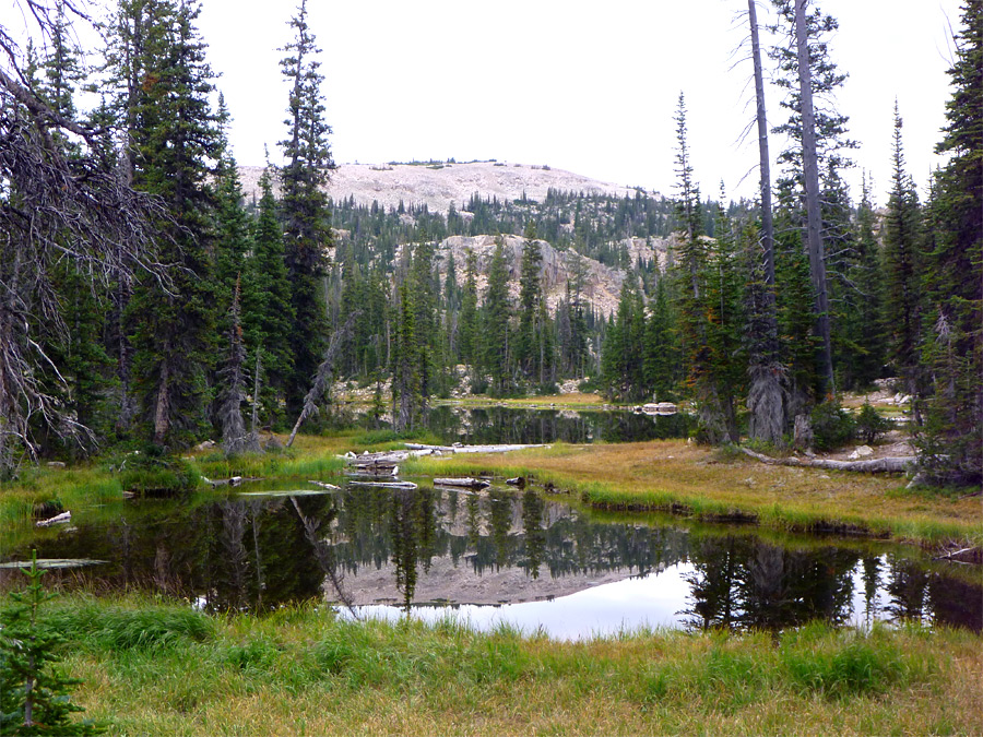 Pond beside Picturesque Lake