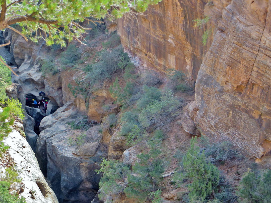 Canyoneers in Pine Creek