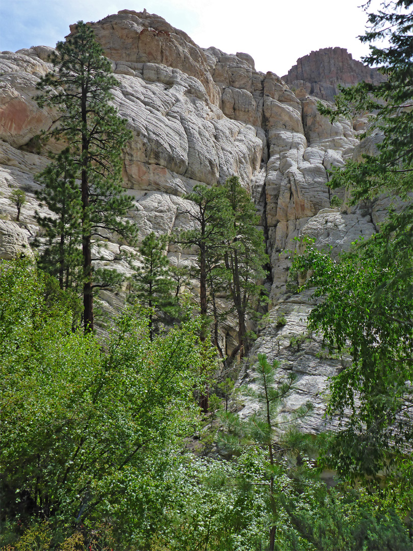 Whitish cliffs