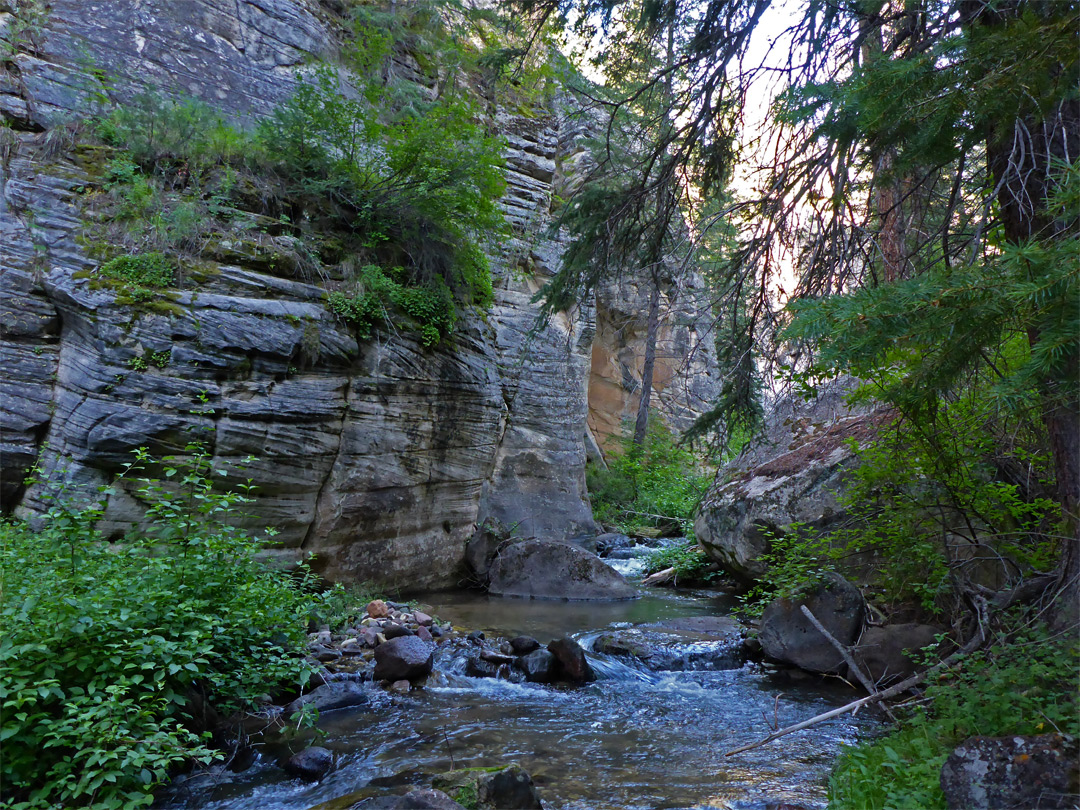 Narrows