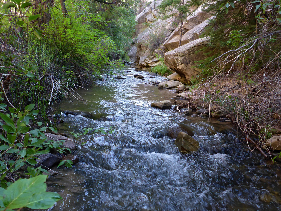 Straight creek