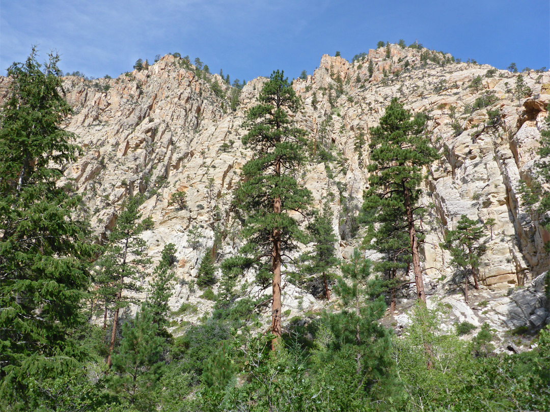 Cliffs to the west