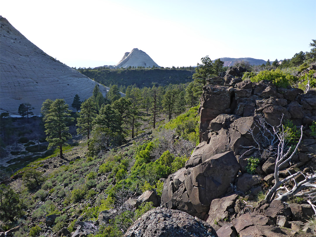 Lava boulders