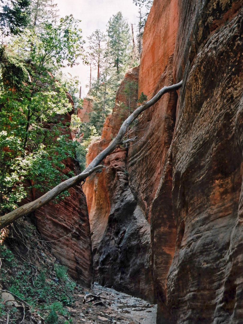 Narrows in Pine Spring Wash