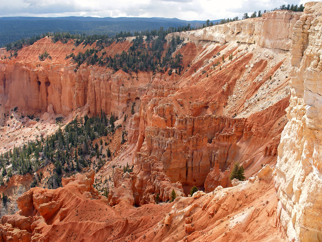 The Pink Cliffs