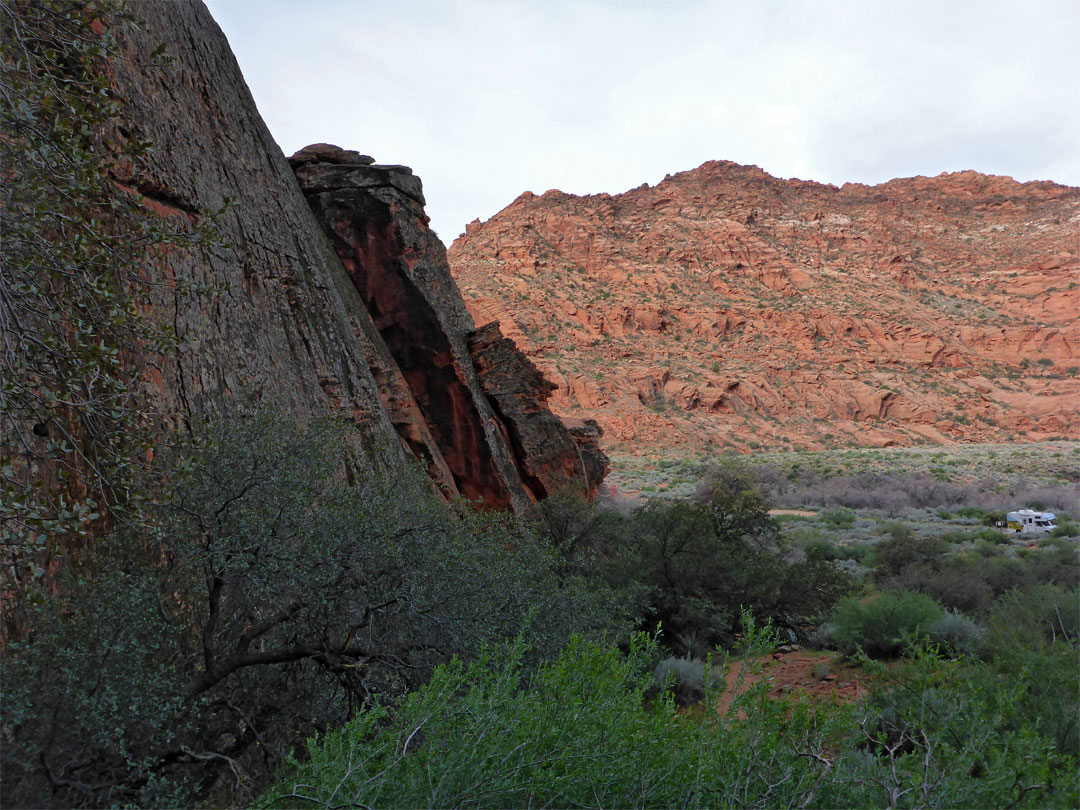 Pioneer Names Trail