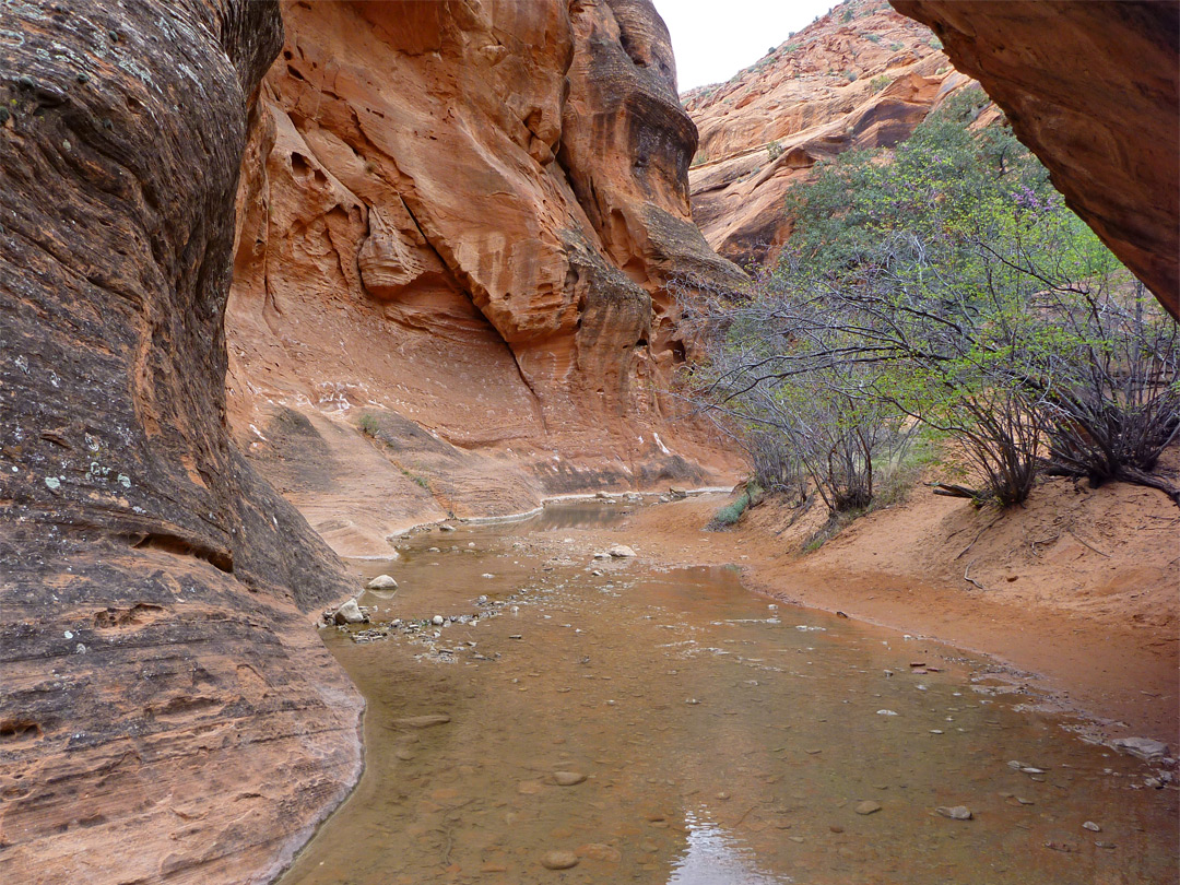 Start of the narrows