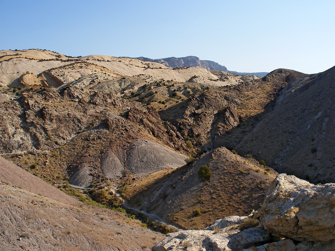 Fossil Discovery Trail