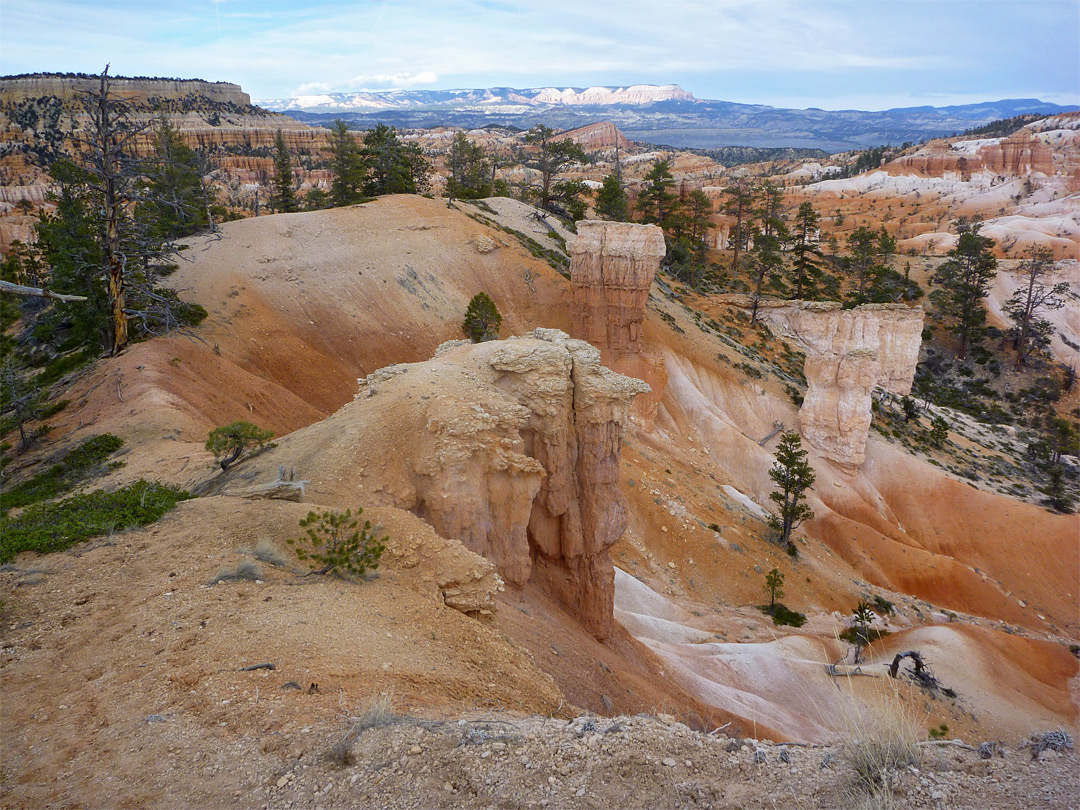 Multicolored earth