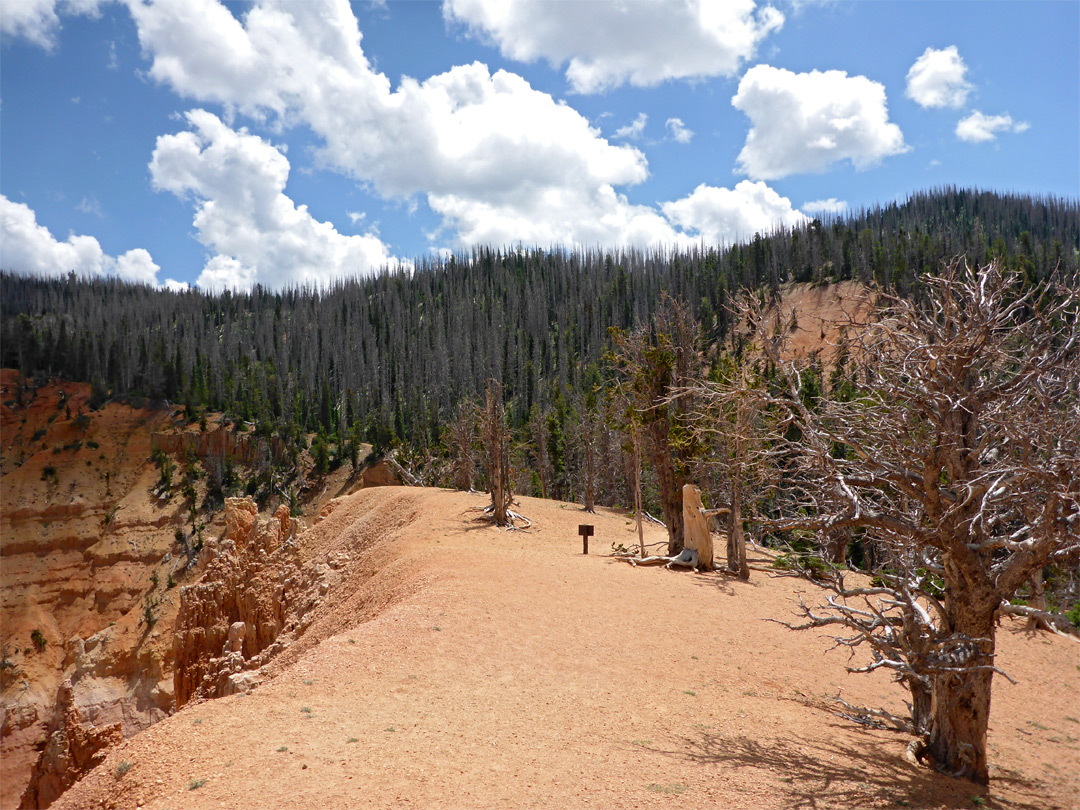 Trail sign